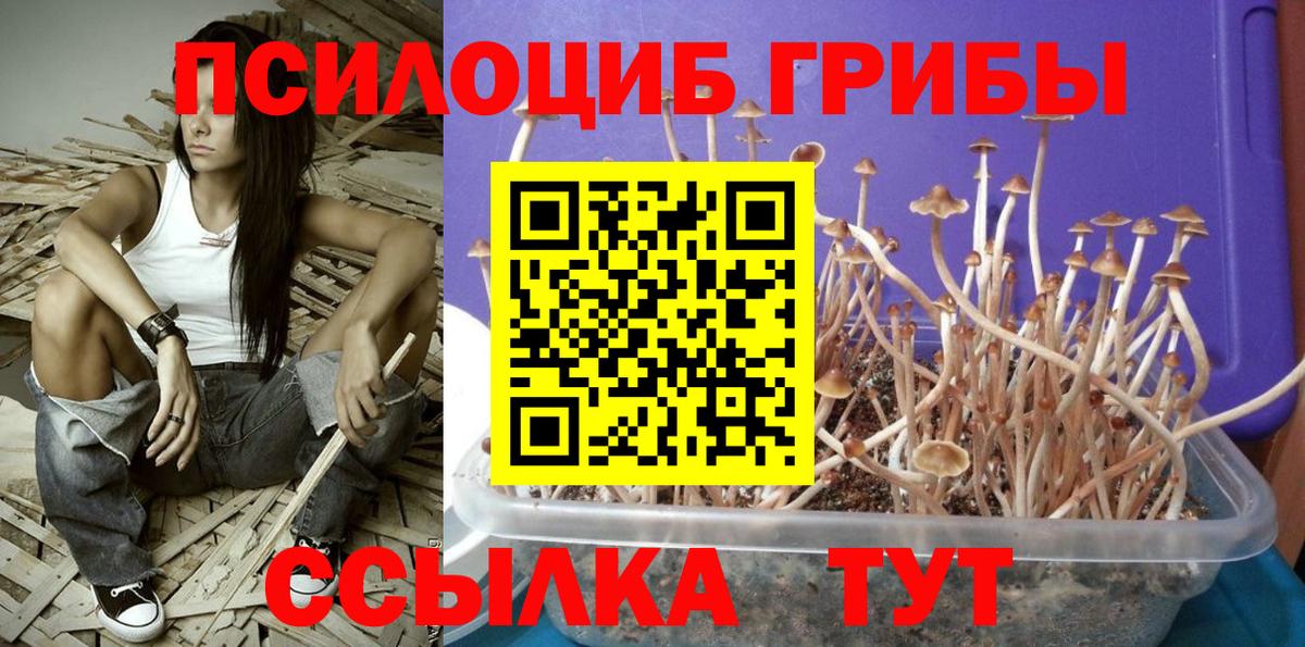 Ростов-на-Дону  Галлюциногенные грибы мицелий  Вход с VPN 