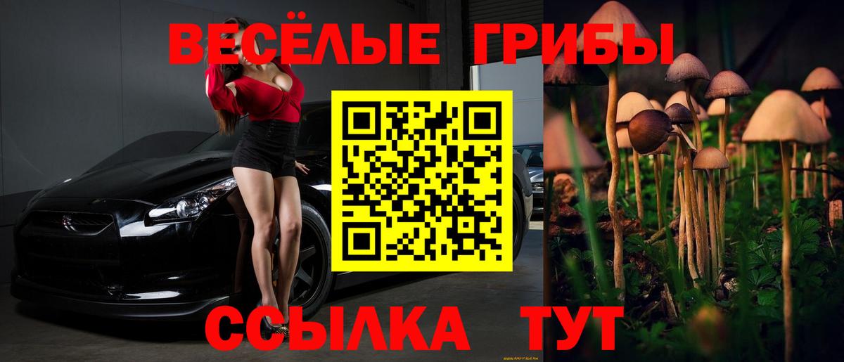 Псилоцибиновые грибы GOLDEN TEACHER Ростов-на-Дону